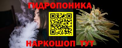 индика Тверь