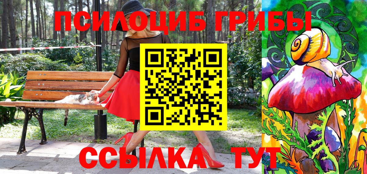 Как найти наркотики?  ГАШИШ  Канабис  Россошь  Cocaine  Вход с VPN  МЕФ  