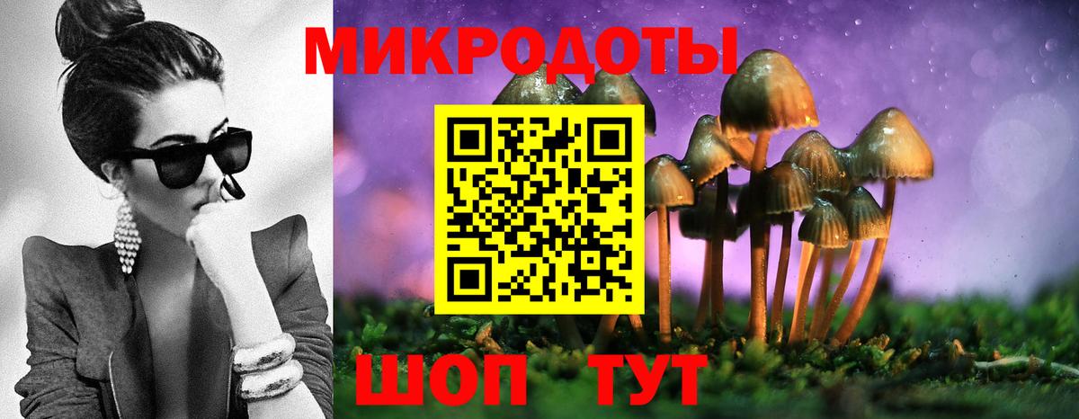 Галлюциногенные грибы прущие грибы Россошь