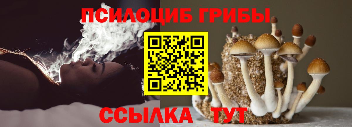 сколько стоит  Вход с VPN  Галлюциногенные грибы Cubensis  Россошь  Галлюциногенные грибы прущие грибы 